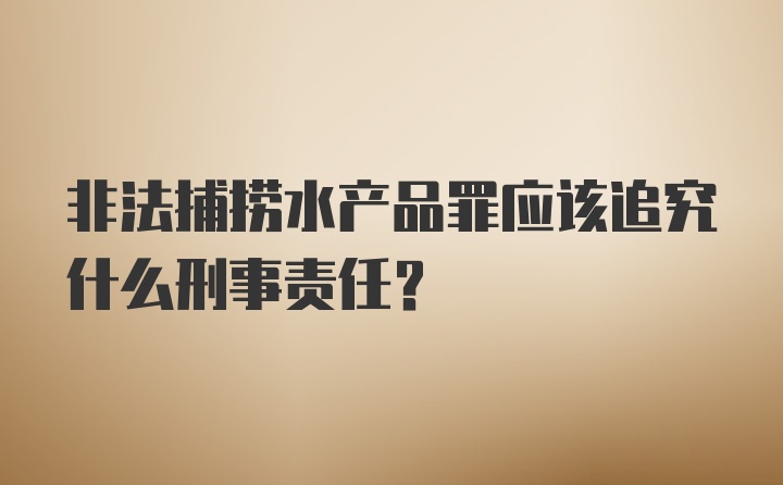 非法捕捞水产品罪应该追究什么刑事责任？