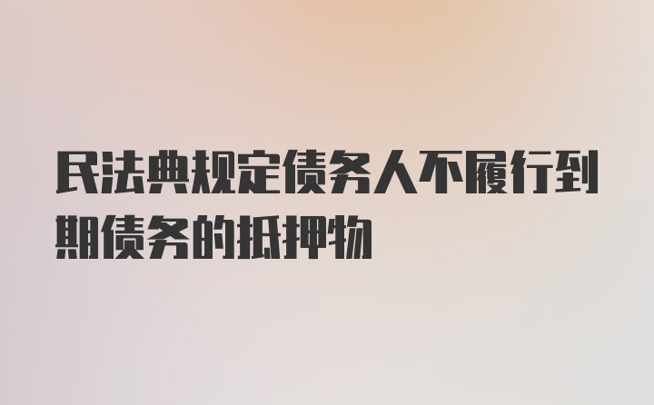 民法典规定债务人不履行到期债务的抵押物