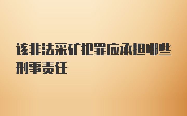 该非法采矿犯罪应承担哪些刑事责任