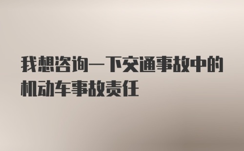 我想咨询一下交通事故中的机动车事故责任