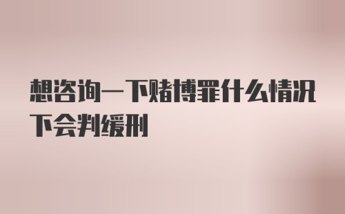 想咨询一下赌博罪什么情况下会判缓刑