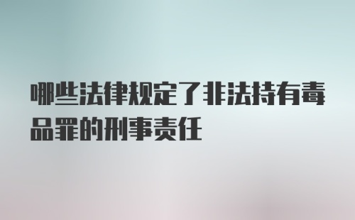 哪些法律规定了非法持有毒品罪的刑事责任