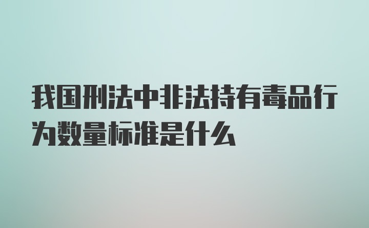 我国刑法中非法持有毒品行为数量标准是什么