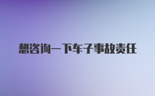 想咨询一下车子事故责任