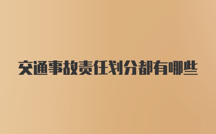 交通事故责任划分都有哪些