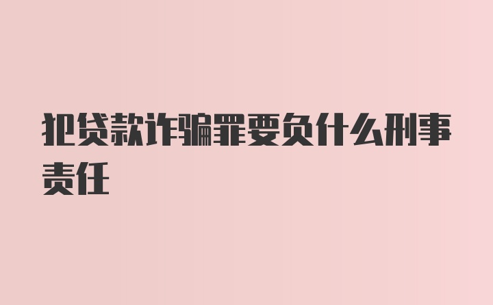 犯贷款诈骗罪要负什么刑事责任