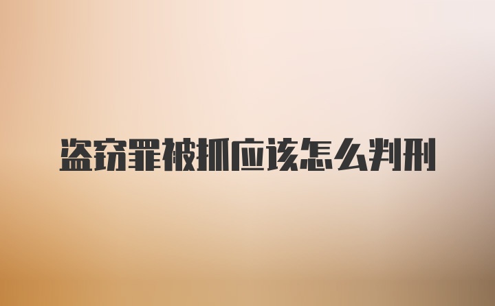 盗窃罪被抓应该怎么判刑