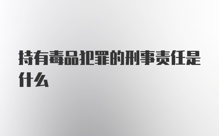 持有毒品犯罪的刑事责任是什么