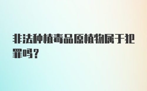 非法种植毒品原植物属于犯罪吗？