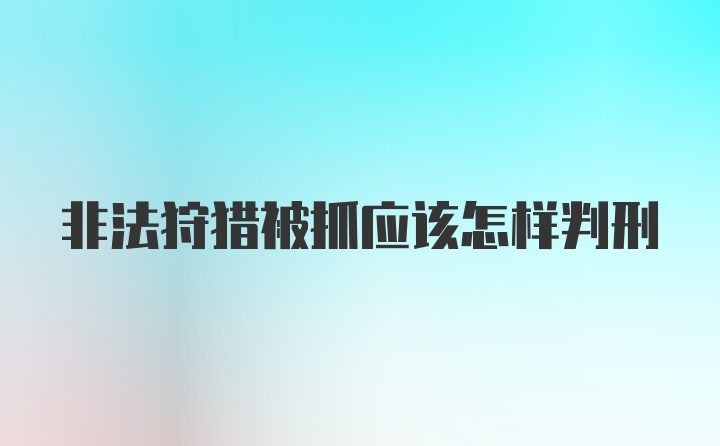 非法狩猎被抓应该怎样判刑