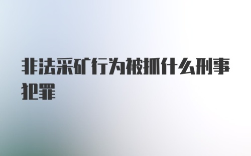 非法采矿行为被抓什么刑事犯罪