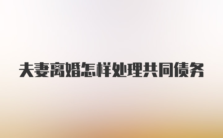 夫妻离婚怎样处理共同债务