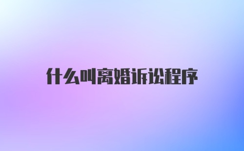 什么叫离婚诉讼程序