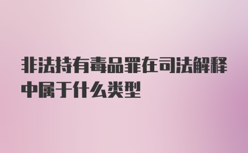 非法持有毒品罪在司法解释中属于什么类型