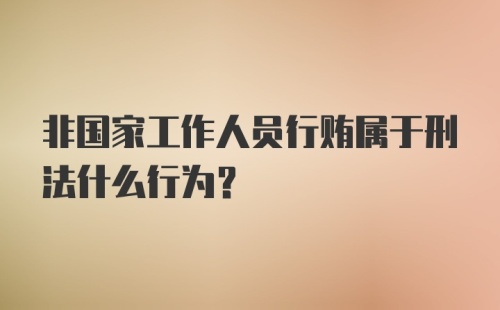 非国家工作人员行贿属于刑法什么行为?