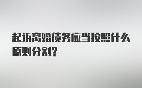 起诉离婚债务应当按照什么原则分割？