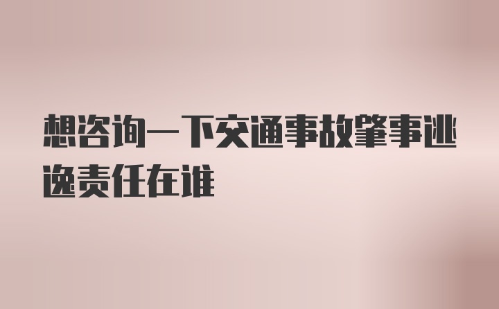 想咨询一下交通事故肇事逃逸责任在谁