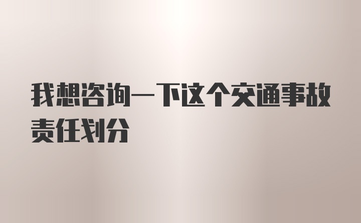 我想咨询一下这个交通事故责任划分