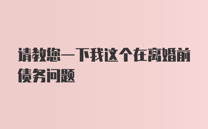 请教您一下我这个在离婚前债务问题