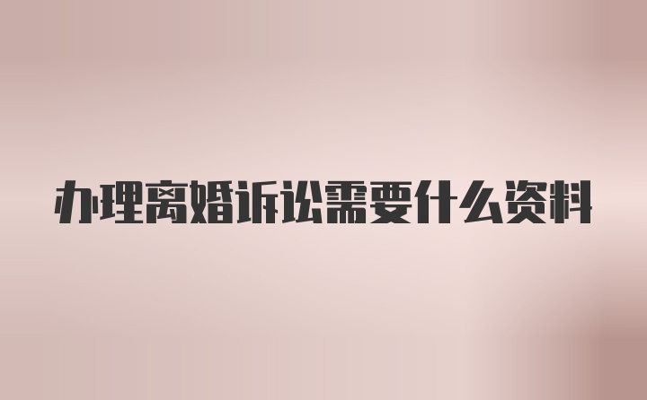 办理离婚诉讼需要什么资料