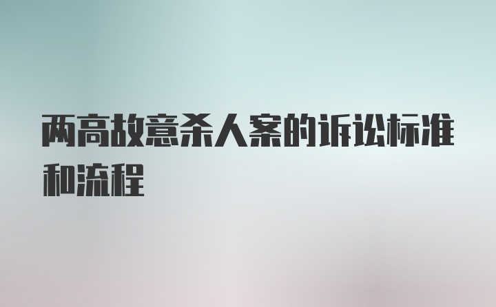 两高故意杀人案的诉讼标准和流程