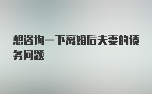 想咨询一下离婚后夫妻的债务问题