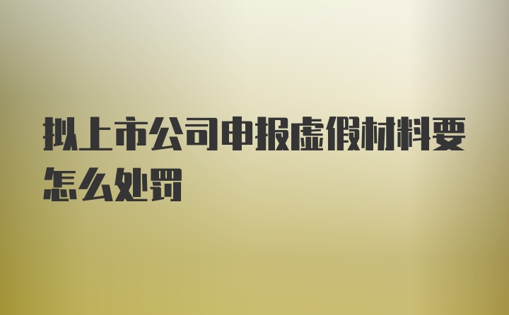 拟上市公司申报虚假材料要怎么处罚