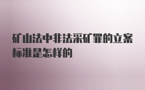 矿山法中非法采矿罪的立案标准是怎样的