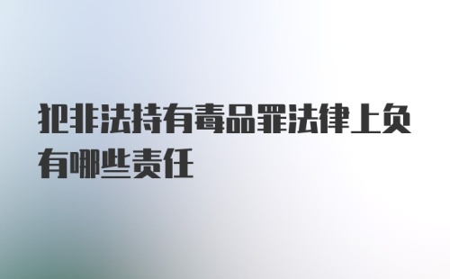 犯非法持有毒品罪法律上负有哪些责任