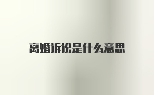 离婚诉讼是什么意思