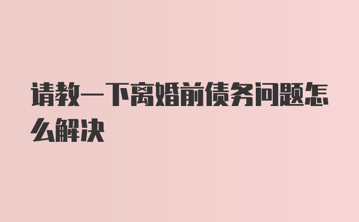 请教一下离婚前债务问题怎么解决