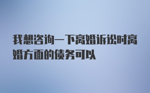 我想咨询一下离婚诉讼时离婚方面的债务可以