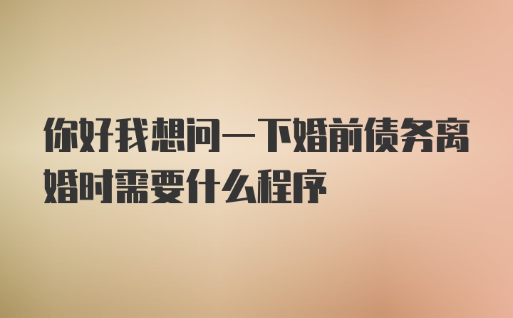 你好我想问一下婚前债务离婚时需要什么程序