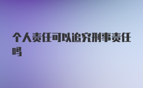 个人责任可以追究刑事责任吗