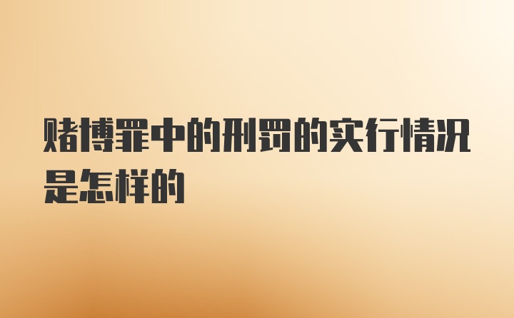 赌博罪中的刑罚的实行情况是怎样的