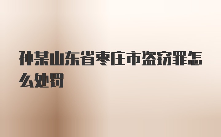 孙某山东省枣庄市盗窃罪怎么处罚