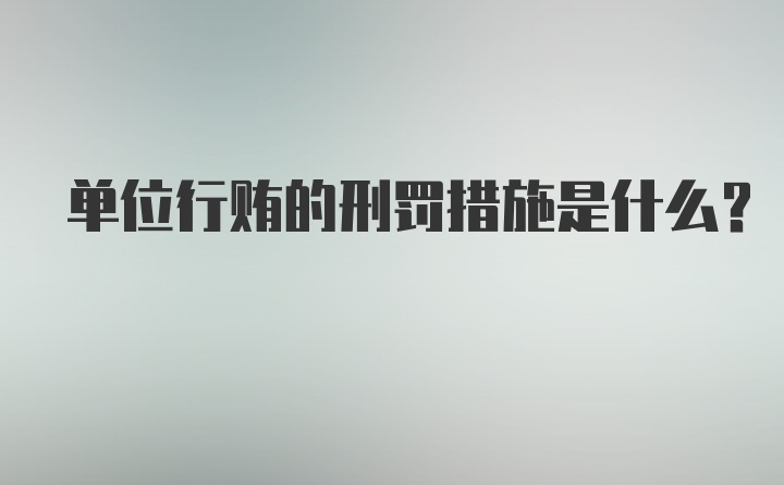 单位行贿的刑罚措施是什么？