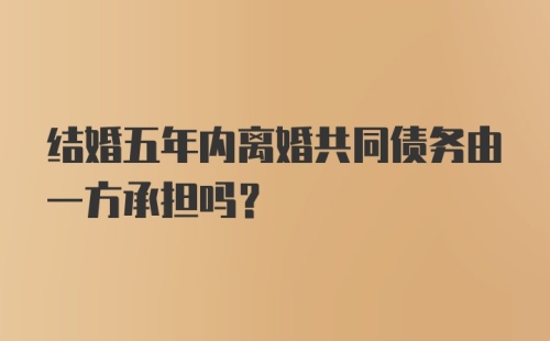 结婚五年内离婚共同债务由一方承担吗?