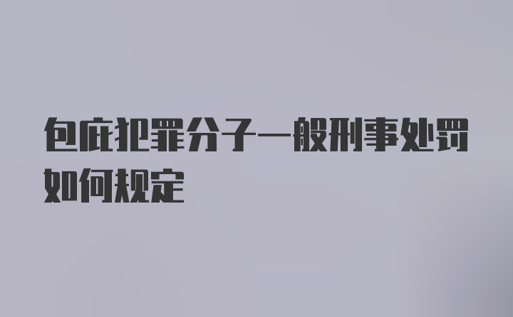 包庇犯罪分子一般刑事处罚如何规定