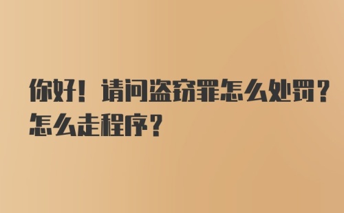 你好！请问盗窃罪怎么处罚？怎么走程序？