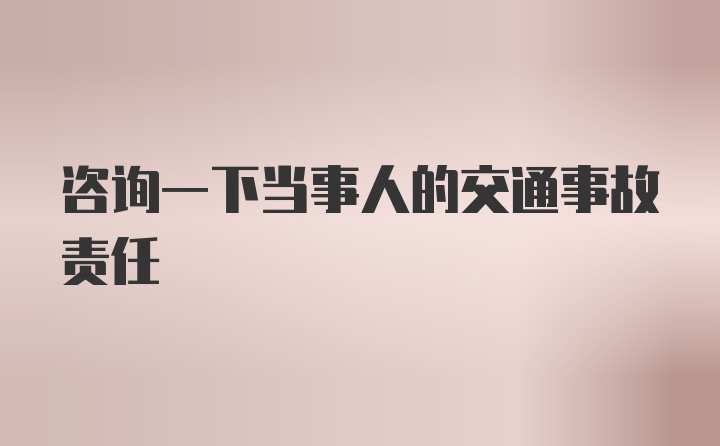 咨询一下当事人的交通事故责任