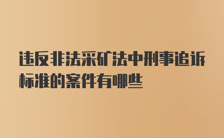 违反非法采矿法中刑事追诉标准的案件有哪些