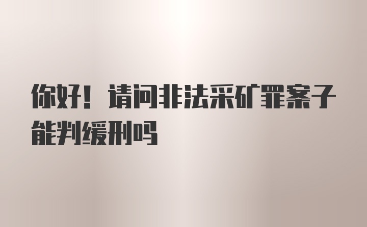 你好！请问非法采矿罪案子能判缓刑吗