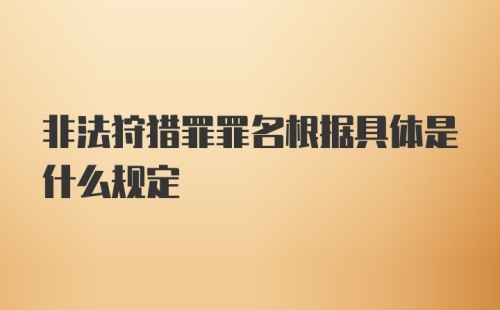 非法狩猎罪罪名根据具体是什么规定