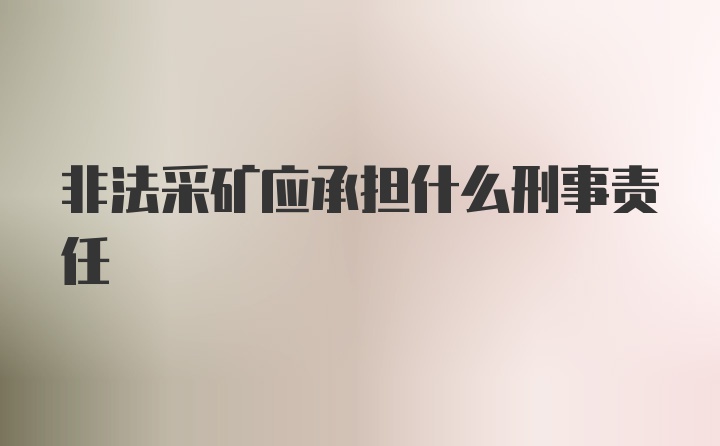 非法采矿应承担什么刑事责任