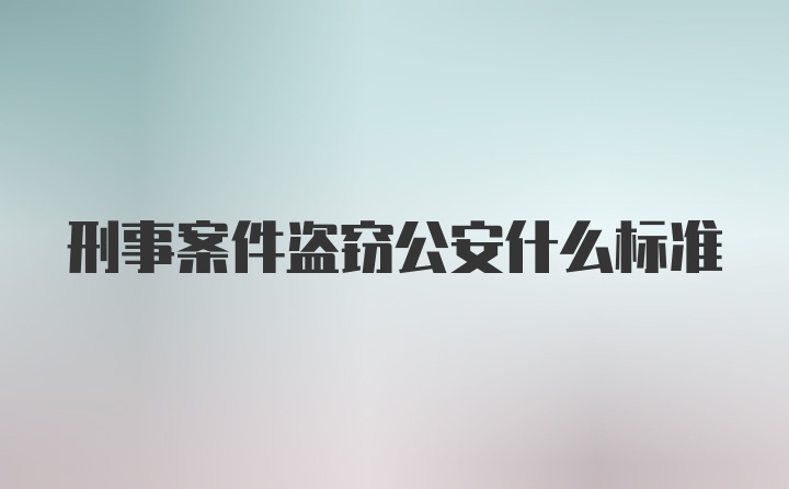 刑事案件盗窃公安什么标准