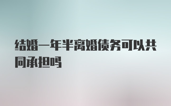 结婚一年半离婚债务可以共同承担吗