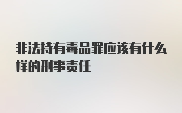 非法持有毒品罪应该有什么样的刑事责任