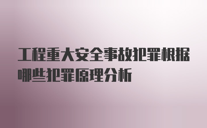 工程重大安全事故犯罪根据哪些犯罪原理分析