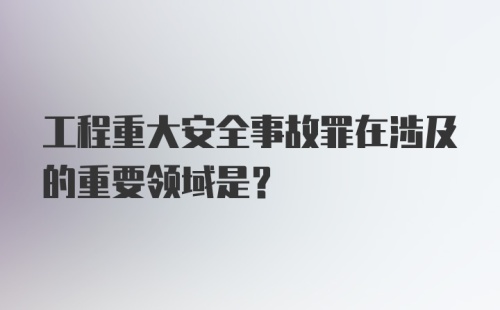 工程重大安全事故罪在涉及的重要领域是?